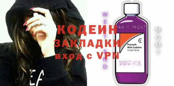 молекула духа Арсеньев