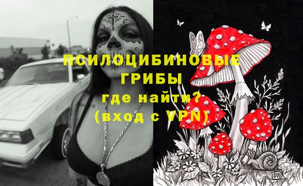 гидра Баксан