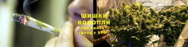 ГАЛЛЮЦИНОГЕННЫЕ ГРИБЫ Балабаново