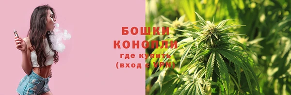 гидра Баксан