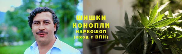 молекула духа Арсеньев