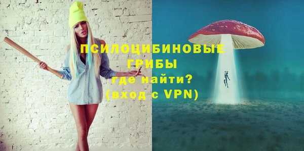 молекула духа Арсеньев