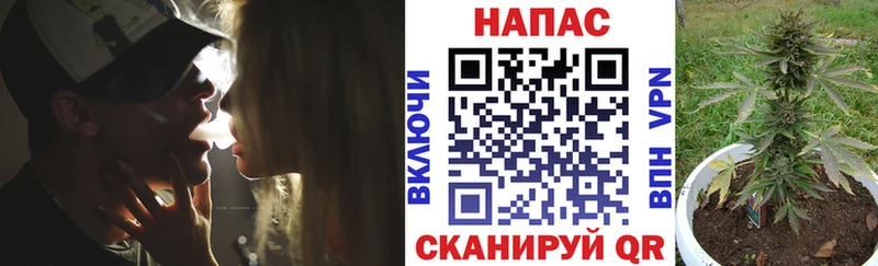 магазин    Туринск  Канабис планчик 